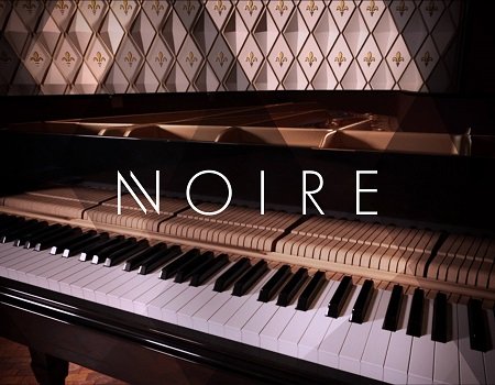 Native Instruments - Noire v1.2.0 (KONTAKT)
